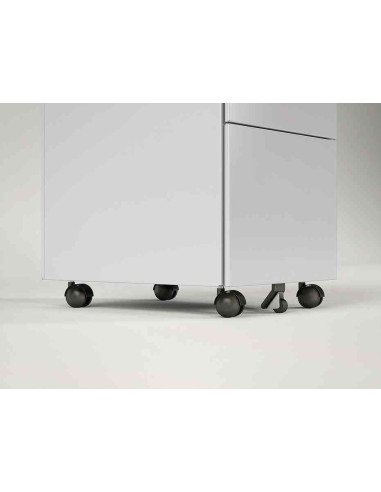 CAISSON SUR ROULETTES GAPSA