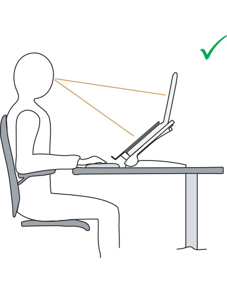 Bras d’écran SMART OFFICE 12 - métal gris - pour 2 écrans