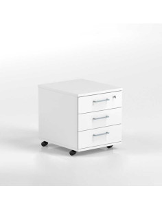 CAISSON SUR ROULETTES 2