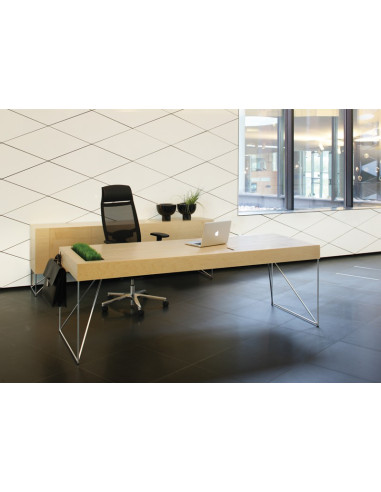 BUREAU AIR EXECUTIVE