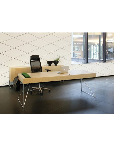 BUREAU AIR EXECUTIVE