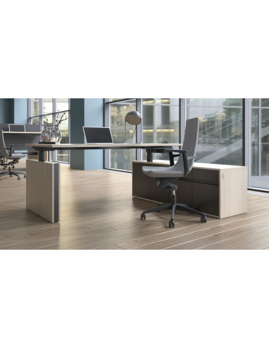 BUREAU SUR RETOUR CREDENCE MOTION EXECUTIVE...