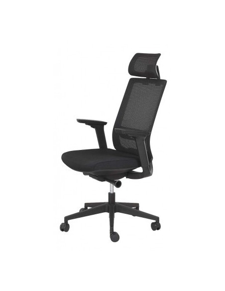 FAUTEUIL ERGONOMIQUE CARLO