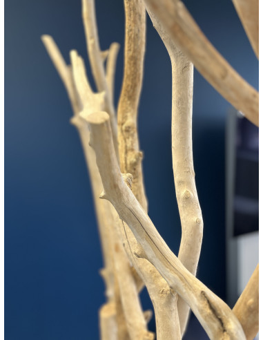 CLAUSTRA BOIS NATUREL