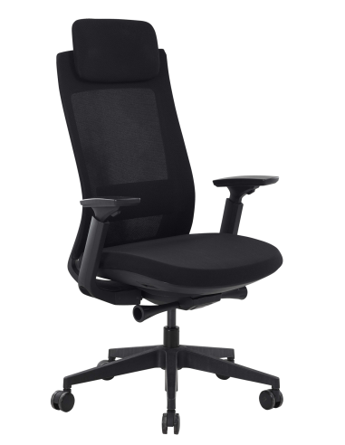 FAUTEUIL ERGONOMIQUE ANDREA