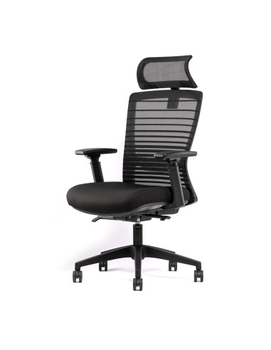 FAUTEUIL ERGONOMIQUE NEED