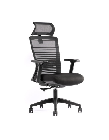 FAUTEUIL ERGONOMIQUE NEED