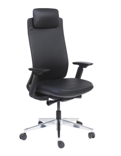 FAUTEUIL ERGONOMIQUE DIRECTIONNEL ALEXANDER