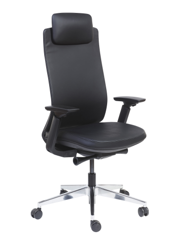 FAUTEUIL ERGONOMIQUE DIRECTIONNEL ALEXANDER