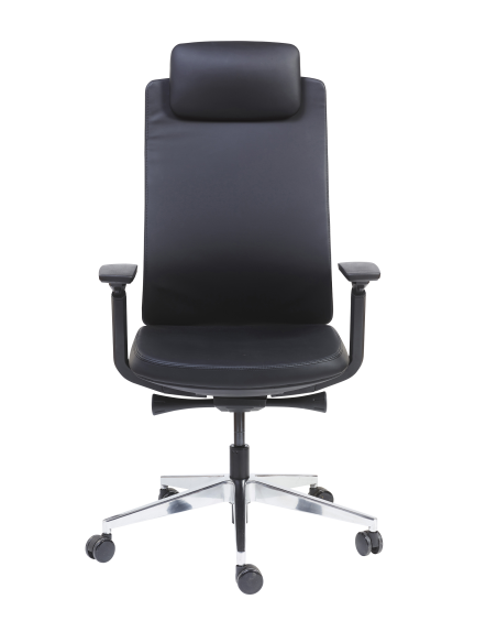 FAUTEUIL ERGONOMIQUE DIRECTIONNEL ALEXANDER