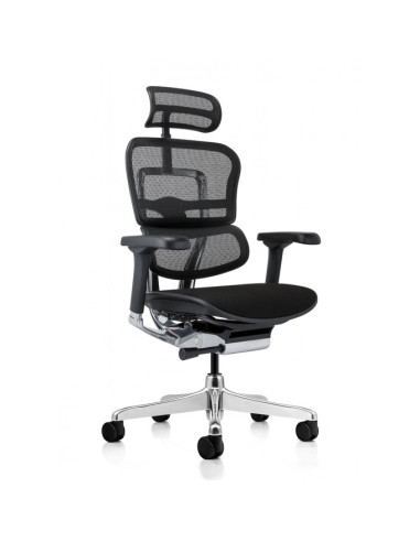 FAUTEUIL ERGONOMIQUE ELITE EHE2