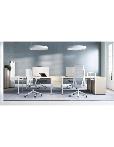 SIEGE DE TRAVAIL D-CHAIR