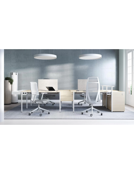 SIEGE DE TRAVAIL D-CHAIR