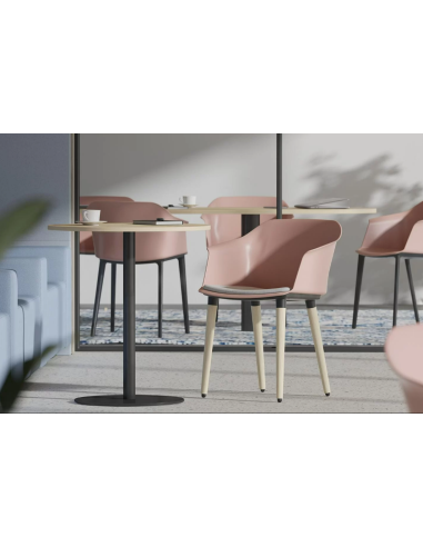 SIEGE VISITEUR POLYTHONE-C