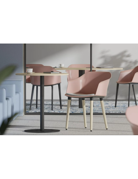 SIEGE VISITEUR POLYTHONE-C