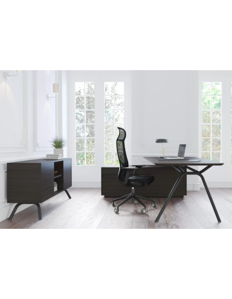 BUREAU DE DIRECTION ARQUS