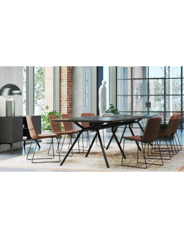 TABLE DE REUNION ARQUS