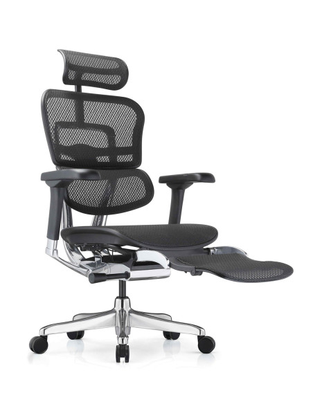 FAUTEUIL ERGONOMIQUE ELITE EHE2