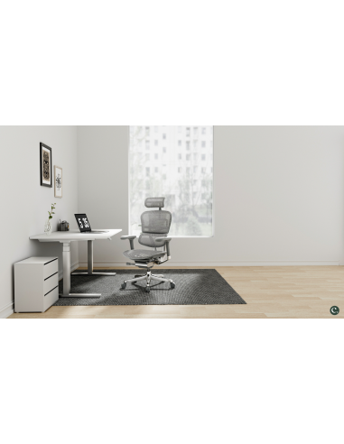 FAUTEUIL ERGONOMIQUE ELITE EHE2