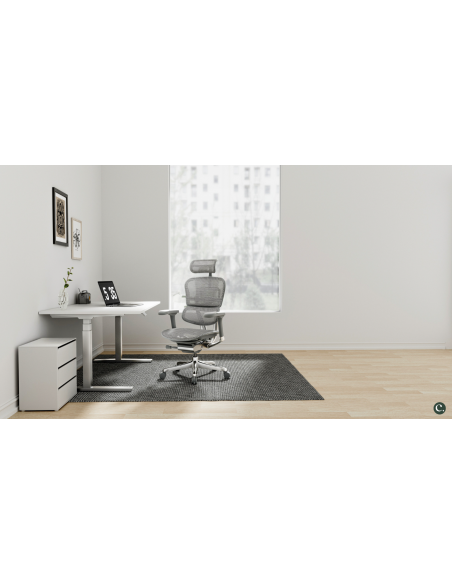 FAUTEUIL ERGONOMIQUE ELITE EHE2