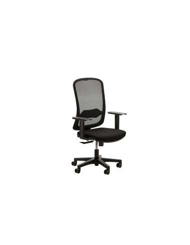 FAUTEUIL ERGONOMIQUE AURA B