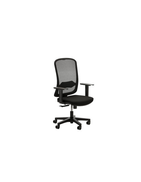 FAUTEUIL ERGONOMIQUE AURA B