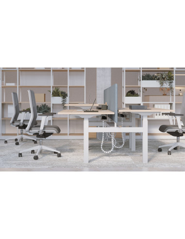 Bureau bench de la gamme B-ACTIVE de chez...