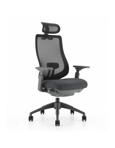 FAUTEUIL ERGONOMIQUE OWEN - mécanisme synchrone - translation d'assise précise - blocable 4 positions - accoudoirs 4D