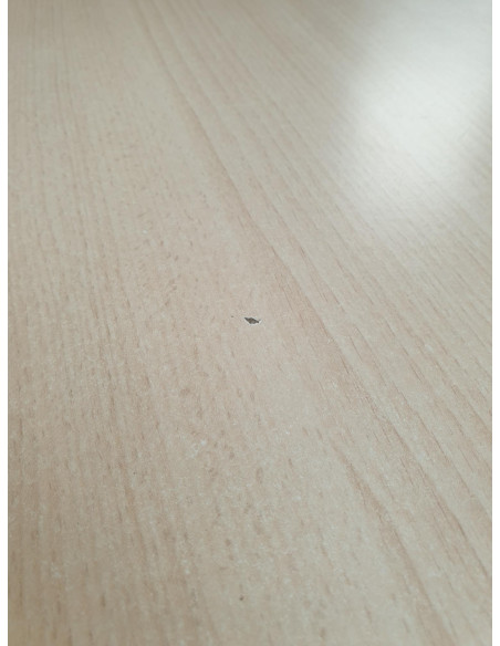 TABLE RONDE HÊTRE CLAIR - seconde main - diam 115cm - pied central inox