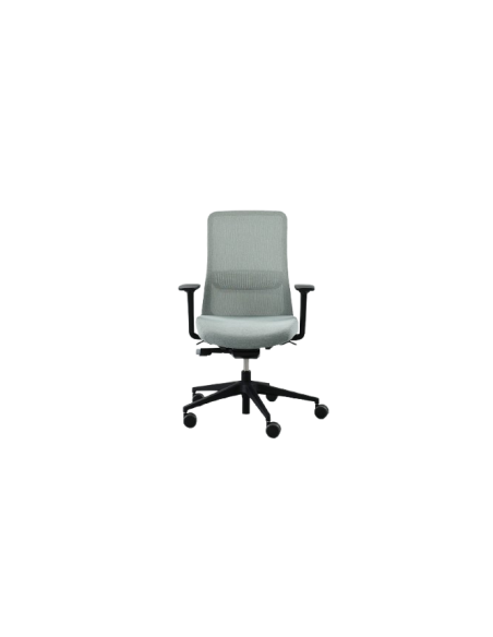 FAUTEUIL ERGONOMIQUE EIRA - translation d'assise - accoudoirs 3D