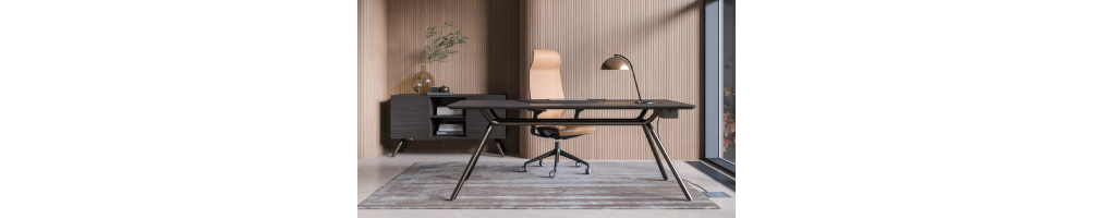 Bureau Directionnel Moderne - Réglable en Hauteur, Changement de Position