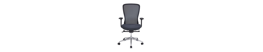 Mobilier Occasion - Fauteuil Ergonomique, Siège Bureau, Attente