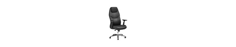 Déstockage - Fauteuil Ergonomique, Siège Visiteur, Pouf