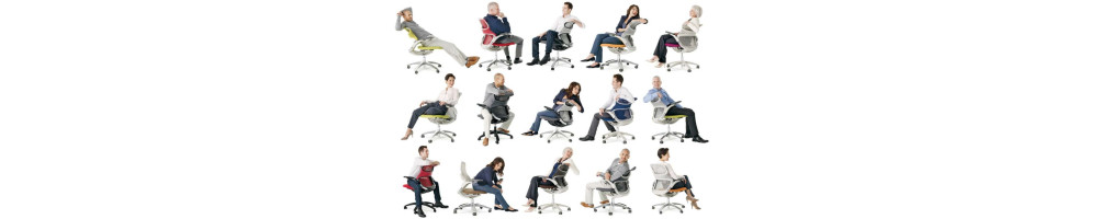 Mobilier Neuf - Fauteuil Ergonomique, Réglable, Confortable